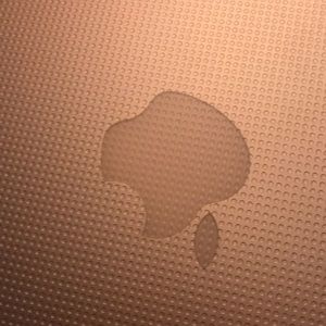 Meet your Posher, Gabby